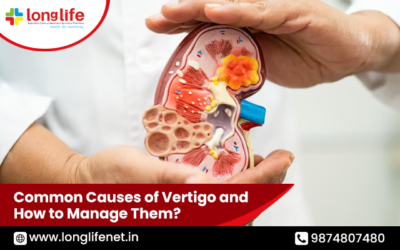 Why is Early Diagnosis and Treatment Needed for Kidney Diseases?